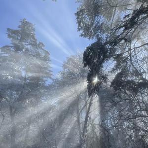 广西美女裸体操逼
